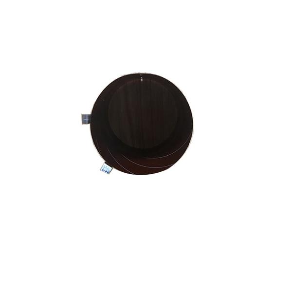 voice  coil  (1)