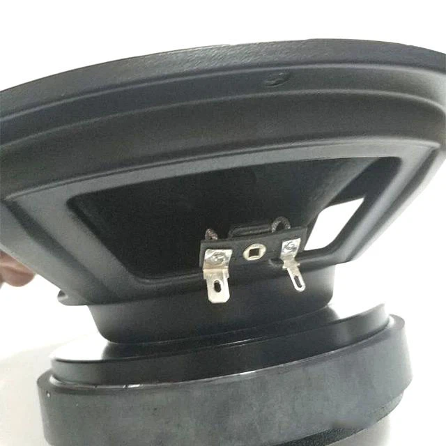 OEM 8 Inch 300w Audio Car Midrange Speaker