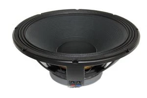 Altavoz Stage Pro de 15 pulgadas